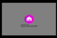 launcher mint