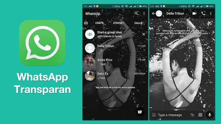 cara membuat whatsapp transparan