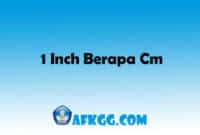 1 Inch Berapa Cm