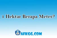 1 Hektar Berapa Meter