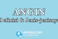 Angin