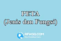 Peta