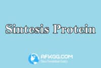 Sintesis Protein