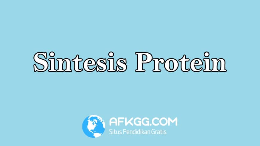 sintesis protein