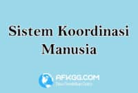 Sistem Koordinasi Pada Manusia