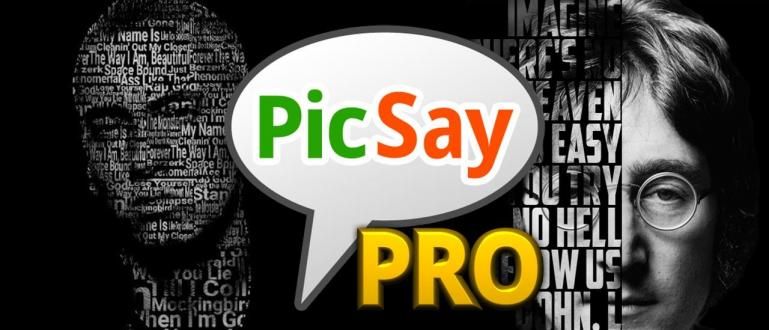 PicSay Pro Apk v1.8.0.5 Photo Editor