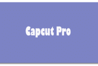 Capcut Pro